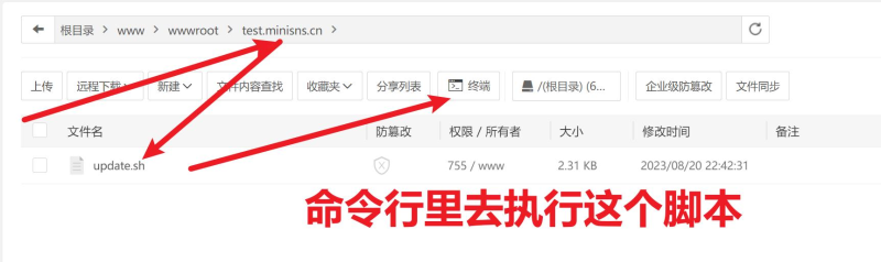 第一步：安装宝塔，新建站点-特嘿综合平台
